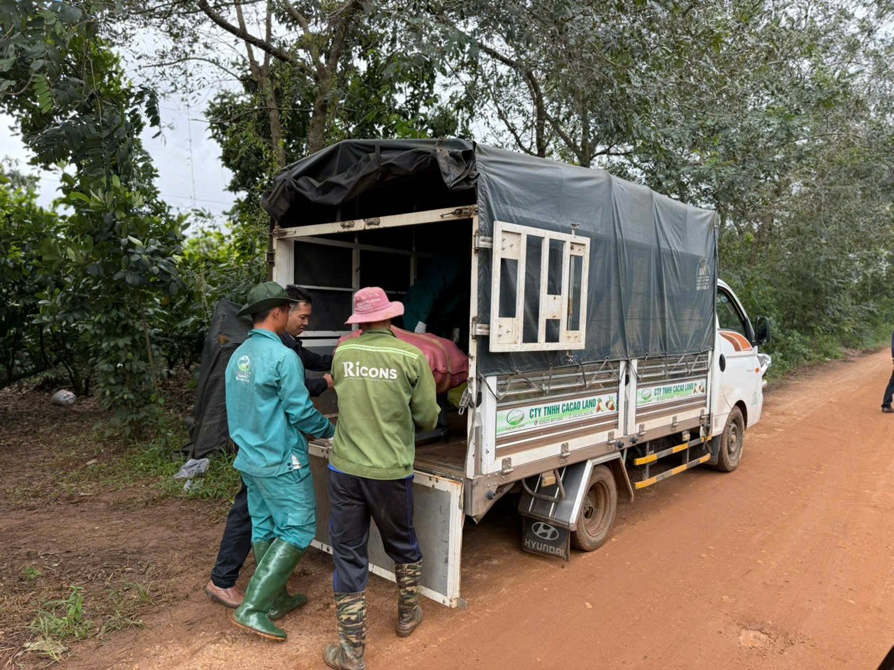 z7328716263806_948283f8ca7a9a8d58794bd5d0f46d9f