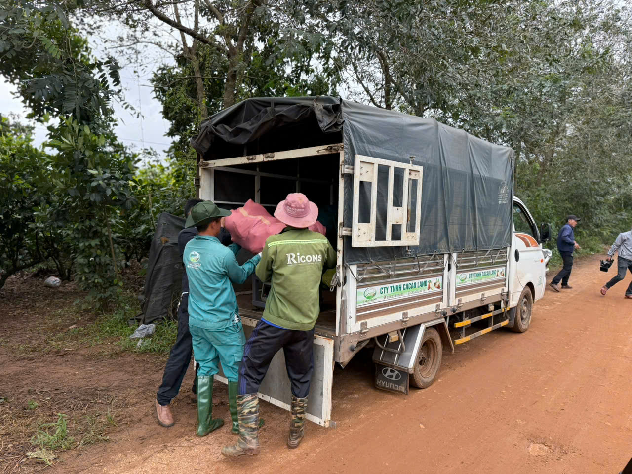 z7328716275483_9882cc794ece280c839c4caf6098de7b