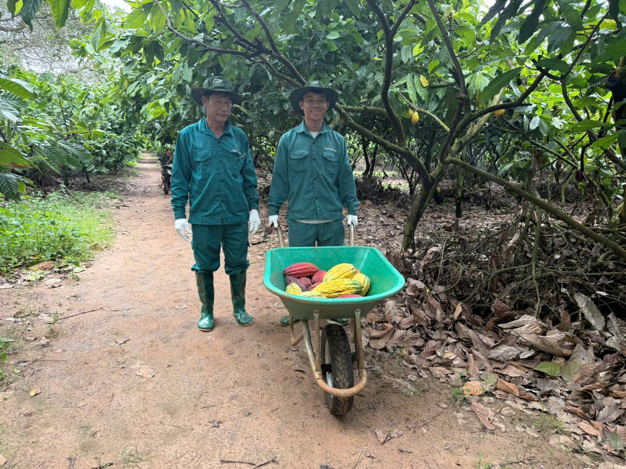 z7328720319109_22e1b1d8dc81367deeb0fd02a73dd4d9