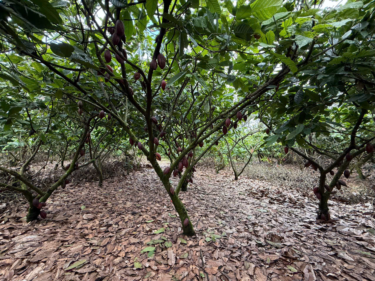 z7328726268427_cfacc90a7aca0a6e5fb6b9bc29ae968f