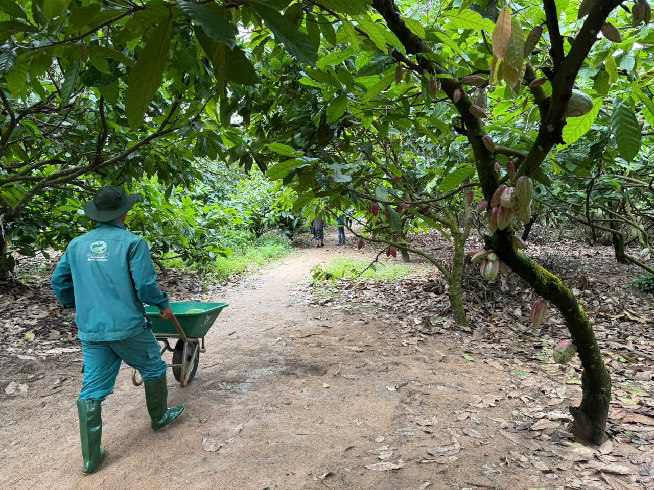 z7328726276993_7160eb9fff3efed6f3089b7ee7404257