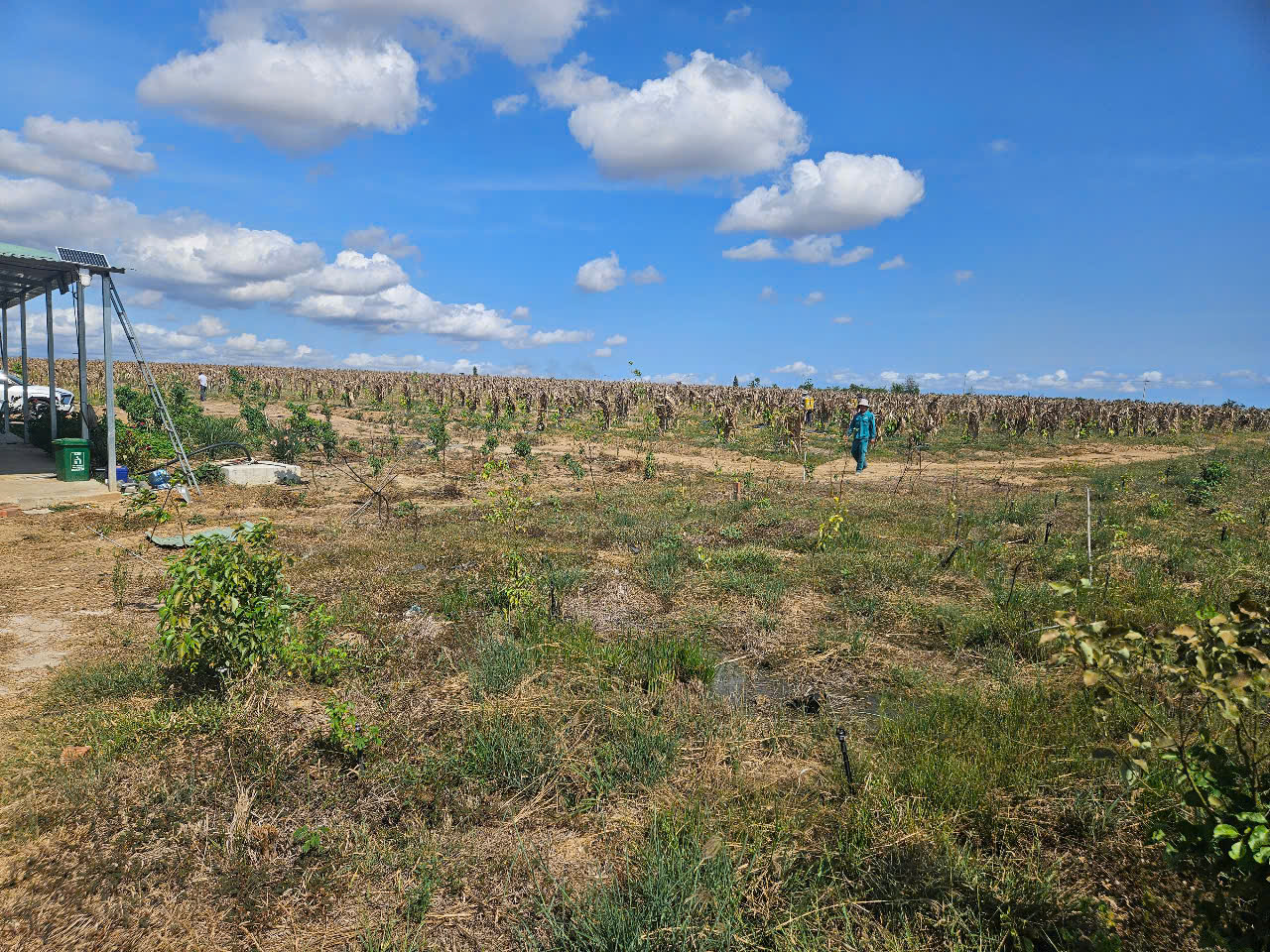 z7334895132332_ae5e17cdc3589096e42ac2b6e3498016