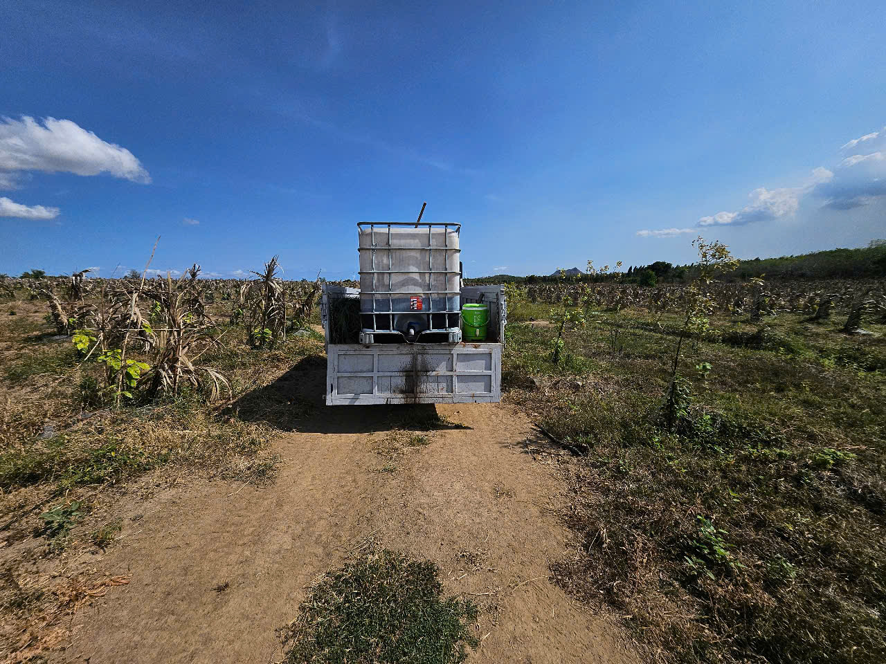 z7334895136965_df716f048045faee9fcdecd2f40d3434