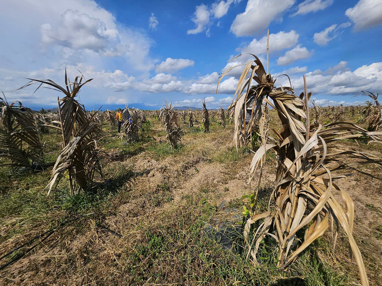 z7334895275637_6ca6aa67d5eaa8f21c1d77c168ff288e