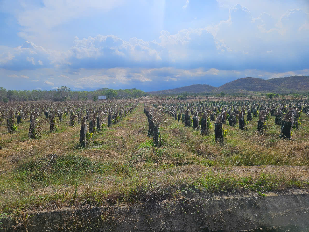 z7334895287630_4e242253681d2ac172dfc837bea8e896