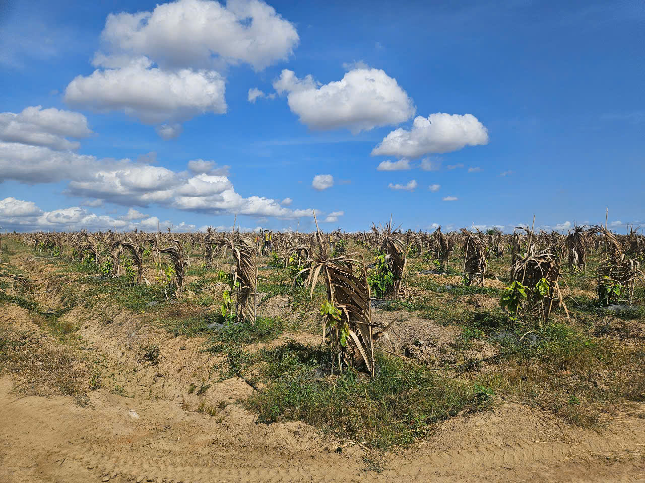 z7334895311085_52d775b8cd9af6d06d0bd2f603243817