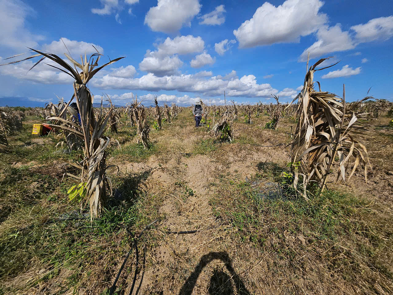 z7334895327044_69fd3aa0b96cef5df0a5366ea295712c