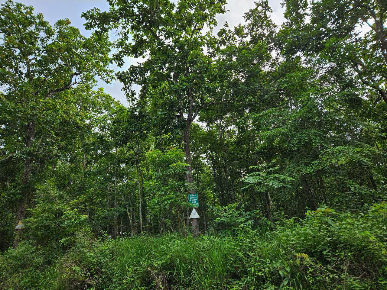 z7335351278730_81bf2c15a3f89299698ffbdc6d7e5683