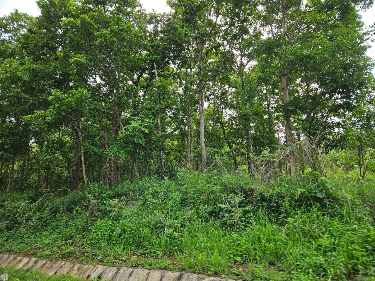 z7335351532025_756d24d5fffb7592ffacd73f72077830