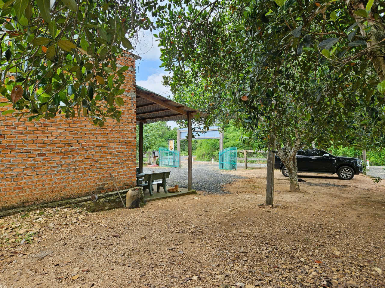 z7335362614813_703b7754e9a9f7e8b84457d5316efed7